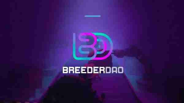 BREED是什么币种BREED币怎么样