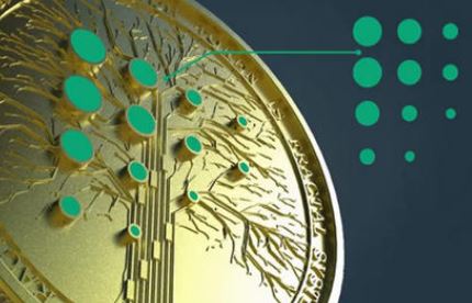 新兴MXC抹茶数字货币交易所和okex交易所有什么区别哪个更好用