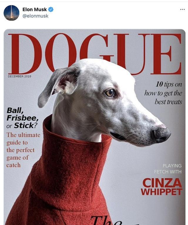 2021年狗狗币前景怎么样DOGE有投资的价值吗