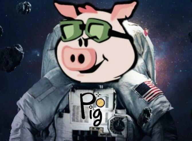 PIG币(猪猪币)行情怎么样 会涨价吗