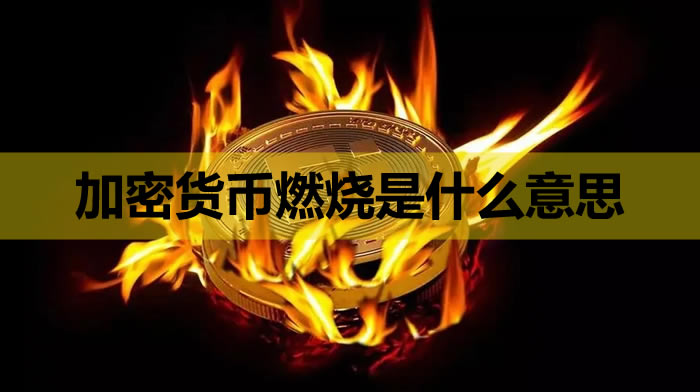 加密货币燃烧是什么意思燃烧加密货币意味着什么
